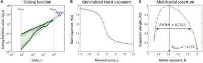 Multifractal and Entropy-Based Analysis of Delta Band Neural Activity Reveals Altered Functional Connectivity Dynamics in Schizophrenia